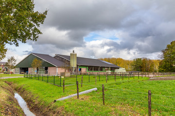 Completely modernized open farm in the Netherlands © Hilda Weges