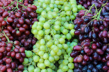 Red and green fresh  grapes background.Selective  focus.