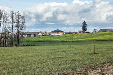  Meadow in the foreground. A residential building, barns, bales of silo in the background of the village. Industrial dairy farming. Podlasie, Poland.