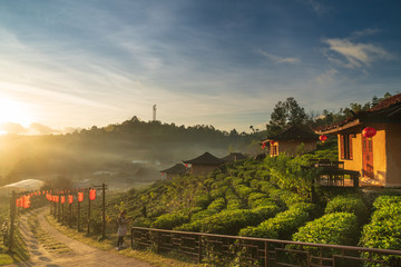 Sunrise in the morning at Lee Wine Resort or Lee Wine Clay houses among the tea plant on the hill slope at Ban Rak Thai , Mae Hong Son province, Thailand.