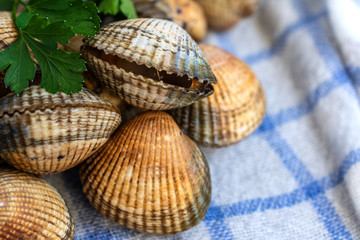 Close-up of raw cockles with parsley, one with the open shell, on white and blue kitchen towel, horizontal
