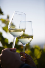 Clinking glasses of wine in the vineyard