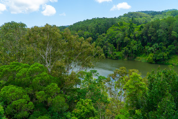 The Australian rainforest in the north of Australia near Cairns with green mountains and blue skies are white clouds