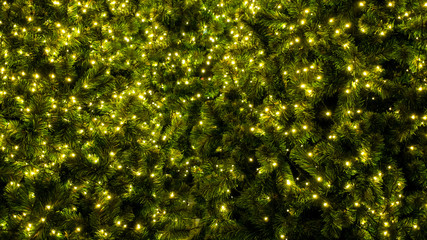 The lights on the Christmas tree decoration background   