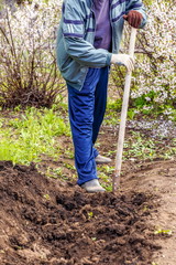 A young man in a country plot digs the ground to plant a tomato.