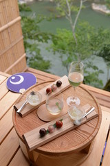 travel in Japan