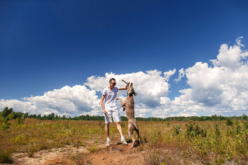 Man playing with dog on nature at daytime