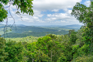 The Australian rainforest in the north of Australia near Cairns with green mountains and blue skies are white clouds