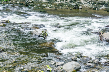 Snoqualmie River Whitewater Rapids 9