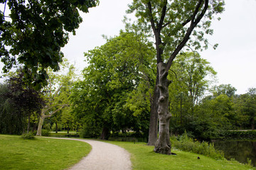 View of walking path way, trees, lake and grass field at Vondelpark in Amsterdam. It is a public urban park of 47 hectares. It is a summer day.