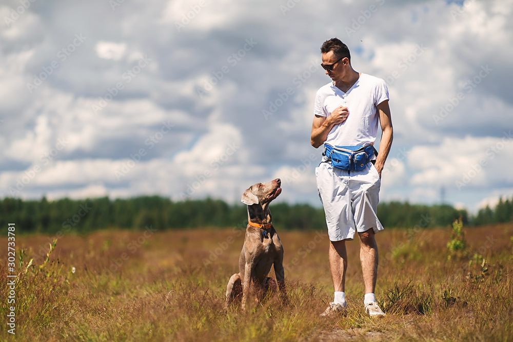 Wall mural Man training dog in rural field in summer day