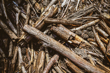 Sticks
