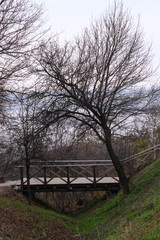 An old wooden footbridge over a ravine in the autumn foggy forest. Empty park near the river. Street travel wallpaper.