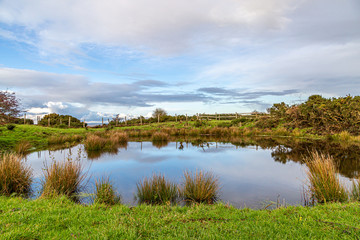 Fototapeta na wymiar A dew pond on Ditchling Beacon in late autumn
