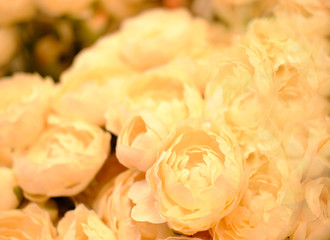 A large bouquet of artificial flowers. Gentle peonies. Very beautiful background from beige artificial flowers. Wedding or anniversary decorations. The color is beige and pale pink.