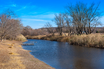 landscape with river and trees