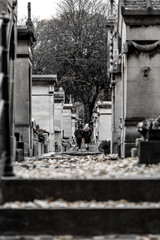 Fototapeta na wymiar Marcher dans le cimetière du Père Lachaise à Paris