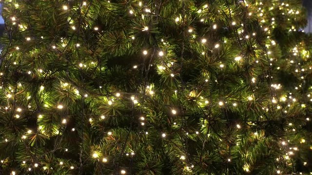 The lights on the Christmas tree decoration background      