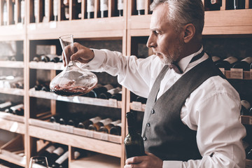 Sommelier Concept. Senior man standing looking at wine decanter checking sediment concentrated side view - obrazy, fototapety, plakaty