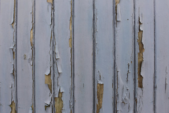 Wooden Wall With Light Blue Paint Peeling Off