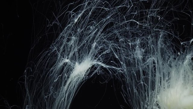tentacles jellyfish close up on black background