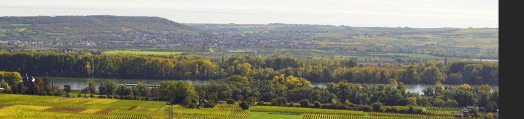 Rhein mit Feldern und Reben im Herbst in Rüdesheim im Rheingau am Rhein in Hessen Deutschland