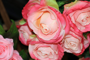 Beautiful and Fresh Bunch of Pink Rose Flower with Shades