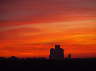 Obraz premium Skyscraper tower silhouette over dark forest on sunset and colorful orange tone sky with long clouds as background. Sunny weather (Moscow city, Russia)