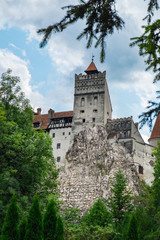 Fototapeta na wymiar Tree branches framing Bran or Dracula Castle in Transylvania, Romania. The castle is located on top of a mountain under a gloomy cloudy sky