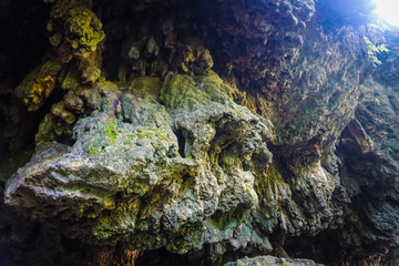 Fototapeta na wymiar A small cave in the jungle of Rishikesh