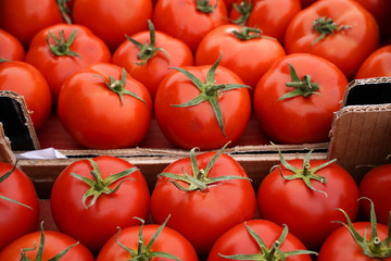 perfect tomatoes on vegetable market stall	