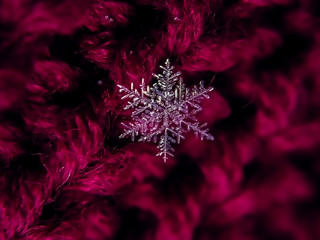 Snowflake beautiful on the red winter background