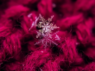 Snowflake beautiful on the red winter background