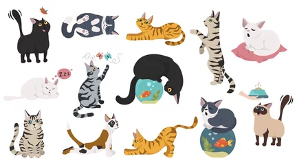 Tuinposter Cartoon cat characters collection. Different cat`s poses, yoga and emotions set. Flat color simple style design. © a7880ss
