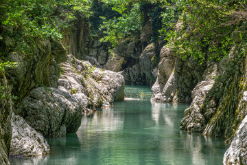 Mountain river in the stone gorge.