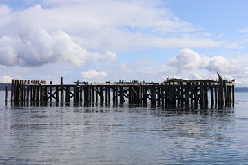 Fototapeta premium Whidbey Island