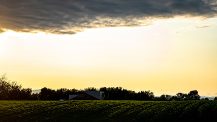 sunset over field