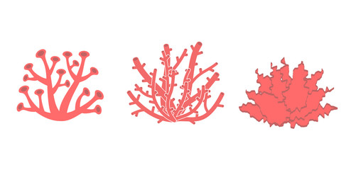 Three different type of colorful coral reef