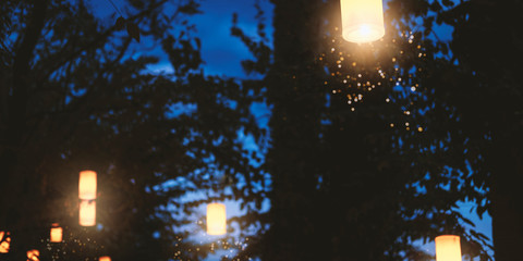 Night forest illumination. Beautiful glowing lights in woods at nighttime, paper lanterns festival in park at dusk. Decorative botanical backdrop with tree silhouettes and shiny garland