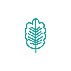 oak foliage nature leaf icon line green