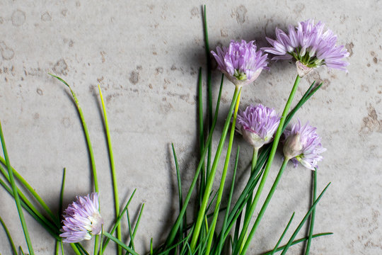 Chive blossoms on stone surface