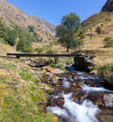 Fototapeta na wymiar River Across a Valley in the Catalan Pyrenees
