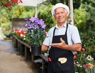Elderly man in greenhouse