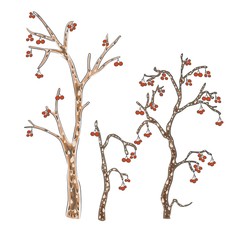 Fototapeta premium Cute trees. Hand Drawn Scandinavian Style