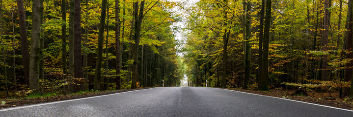 Country Road Banner, Panorama, Panoramic, Background. Rural country road in the woods. The trees cover the black top highway. Landscape background is banner