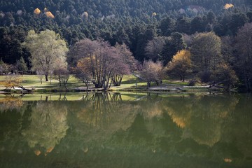 Obraz premium Wooden Lake house inside forest in Bolu Golcuk National Park, Turkey with reflection on the lake on cloudy sky.