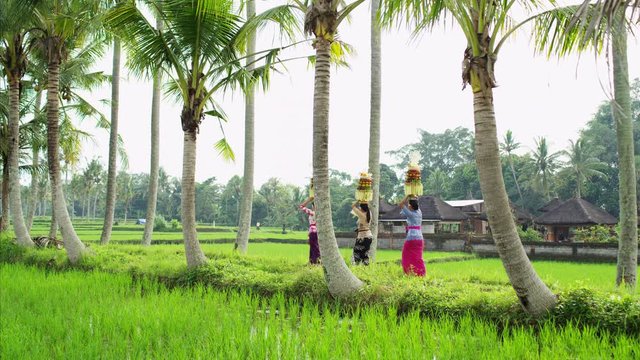 Indonesia baskets of fruit a Hindu spiritual offering 