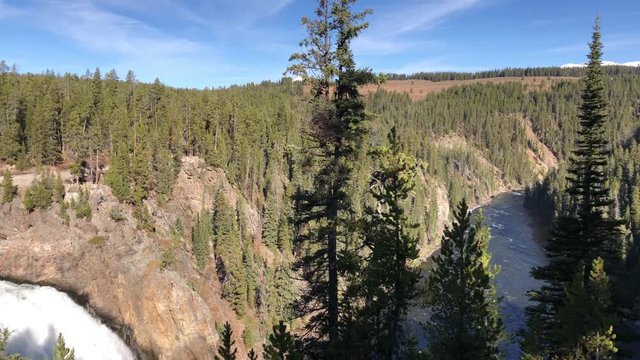 342. Yellowstone National Park pine trees and river