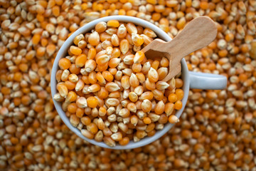 Dry corn in white ceramic bowl isolated on white. Spilled corn kernels and fresh vegetables