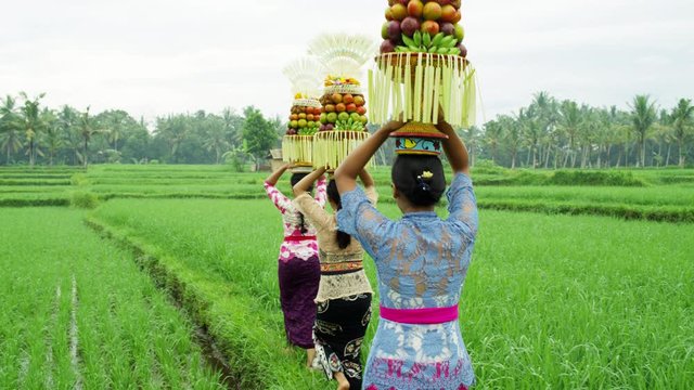 Balinese women carrying fruit offerings Hindu gods Indonesia